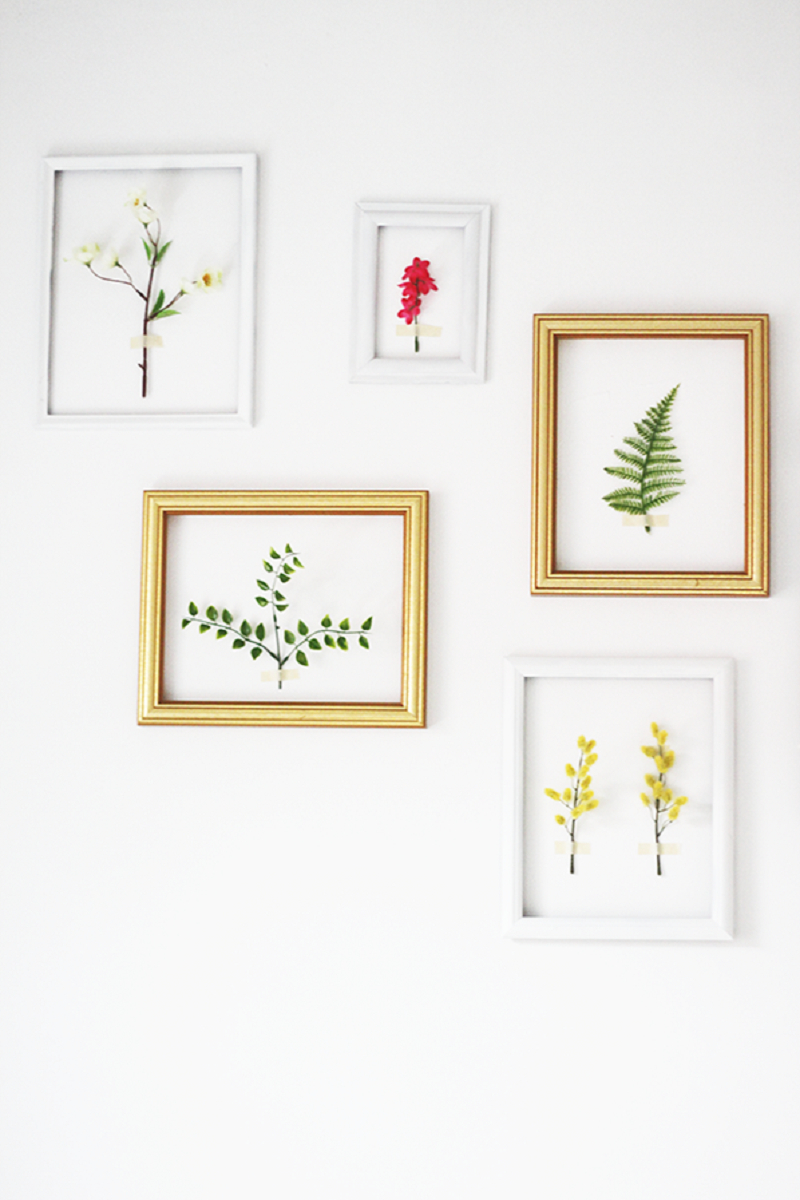 3d framed botanicals galery