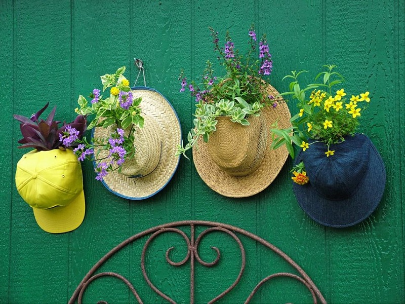 Hanging display for flowers