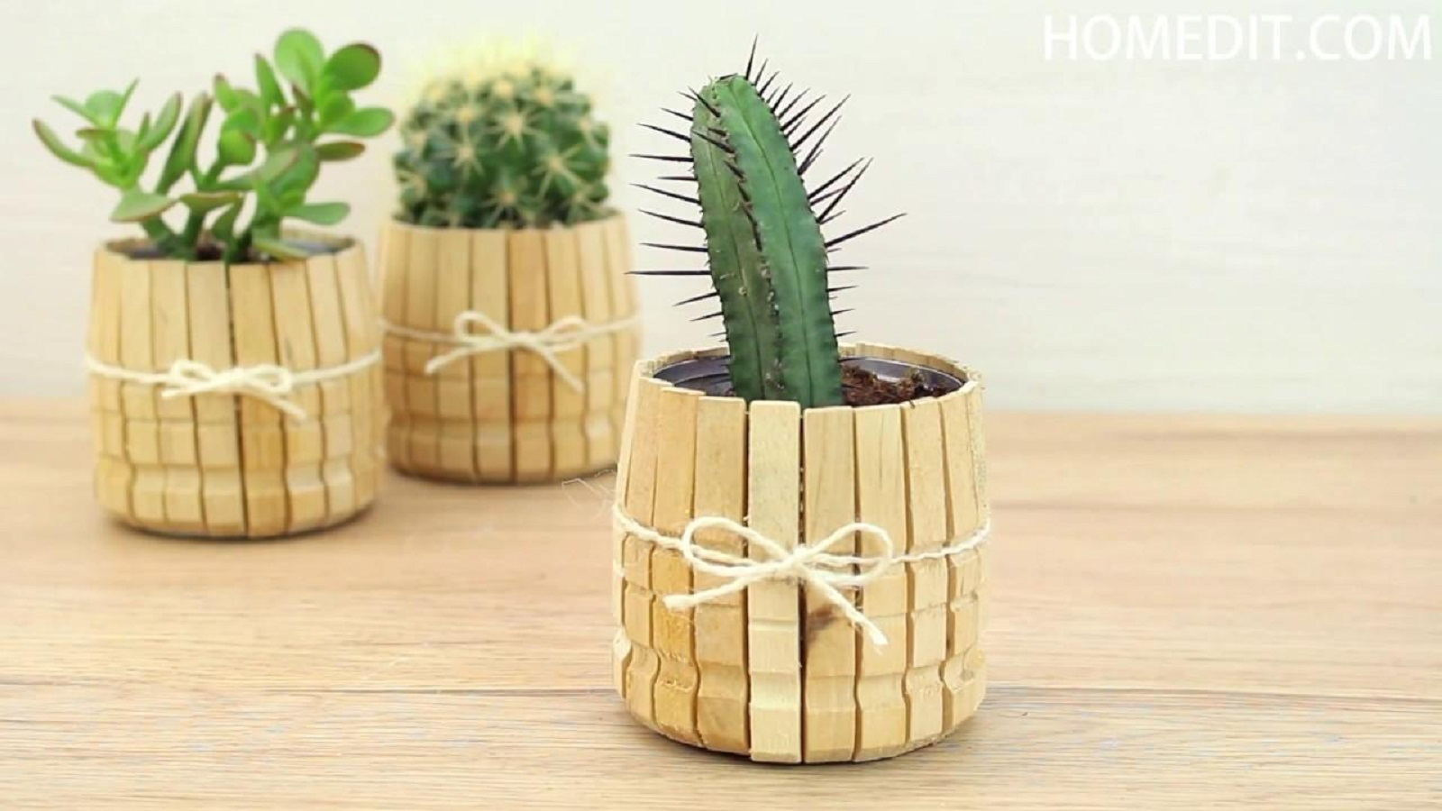 Clothespins for planters Unconventional DIY Craft Ideas You Can Do With Wood Clothespins