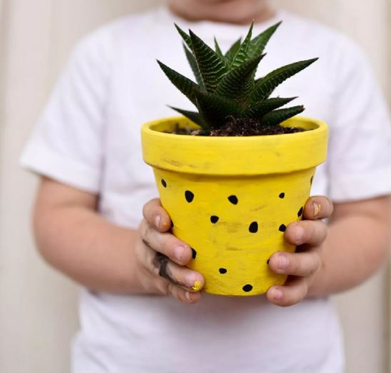 Pineapple inspired pot