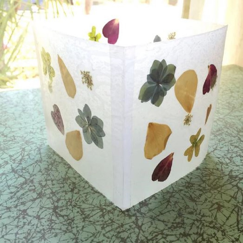 Pressed flowers luminaries