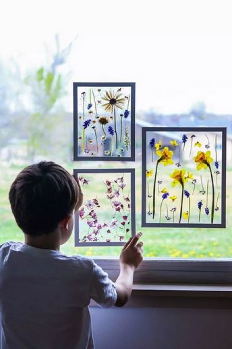 Pressed flowers on the frame