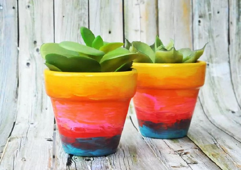 Rainbow flowers pots