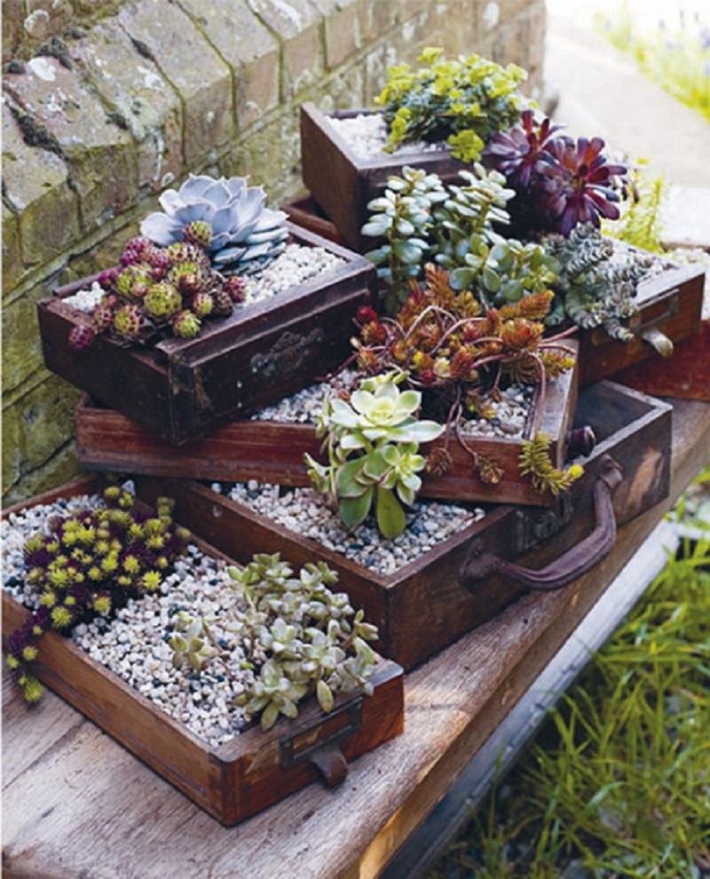 Use drawer planters